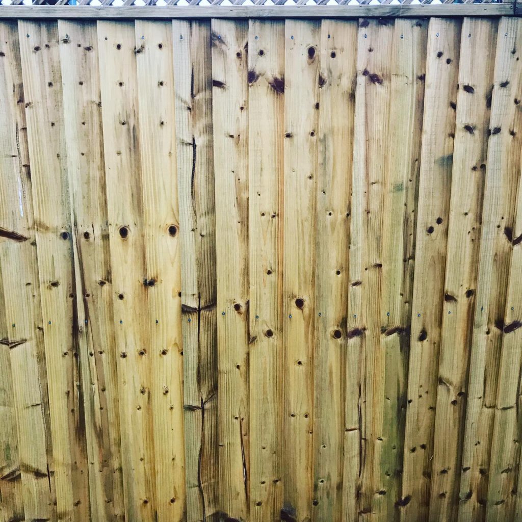Close detail of pressure-treated vertical timber fencing with trellis above