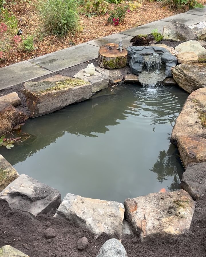 Natural garden pond edged with stone and surrounded by planting
