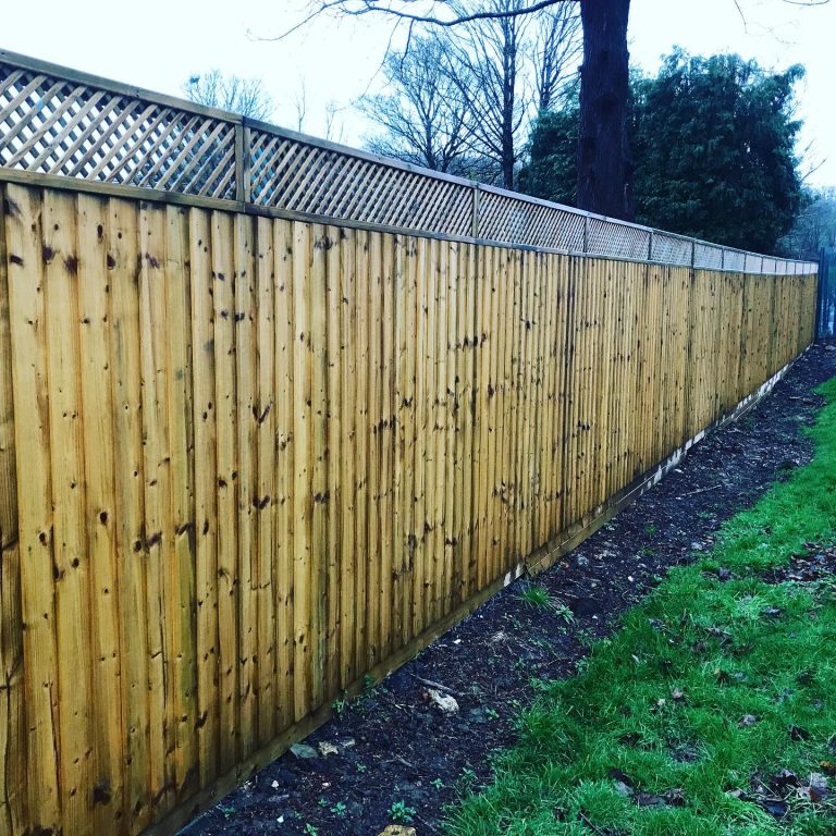 Vertical Board Fencing with Privacy Trellis