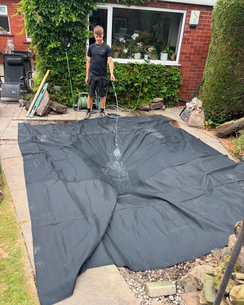 Back Garden Pond